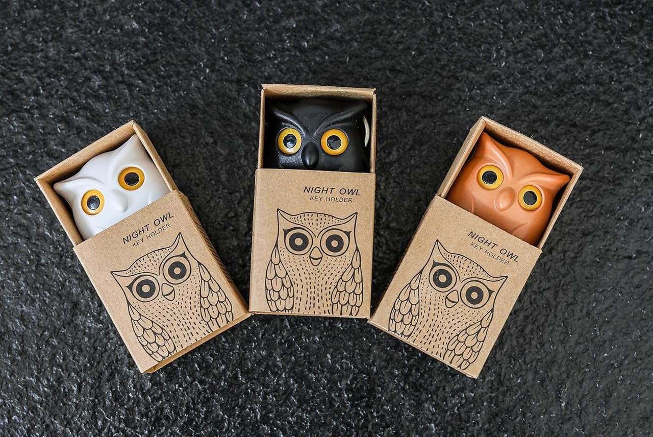 Magnetic Owl Key Holder